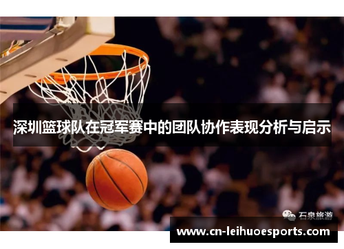 深圳篮球队在冠军赛中的团队协作表现分析与启示